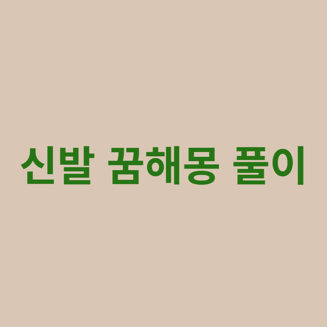 신발 꿈해몽