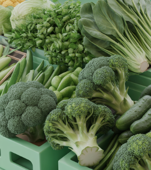 지방간에 좋은 음식 10