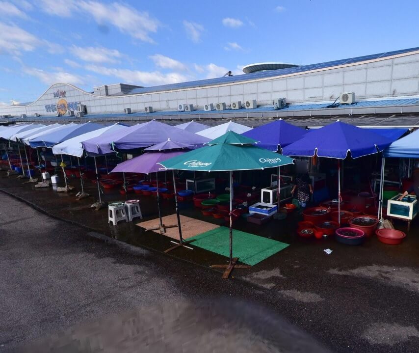 오늘N 수상한 가족 영광 설도항 새우젓 판매 신성호 주문방법