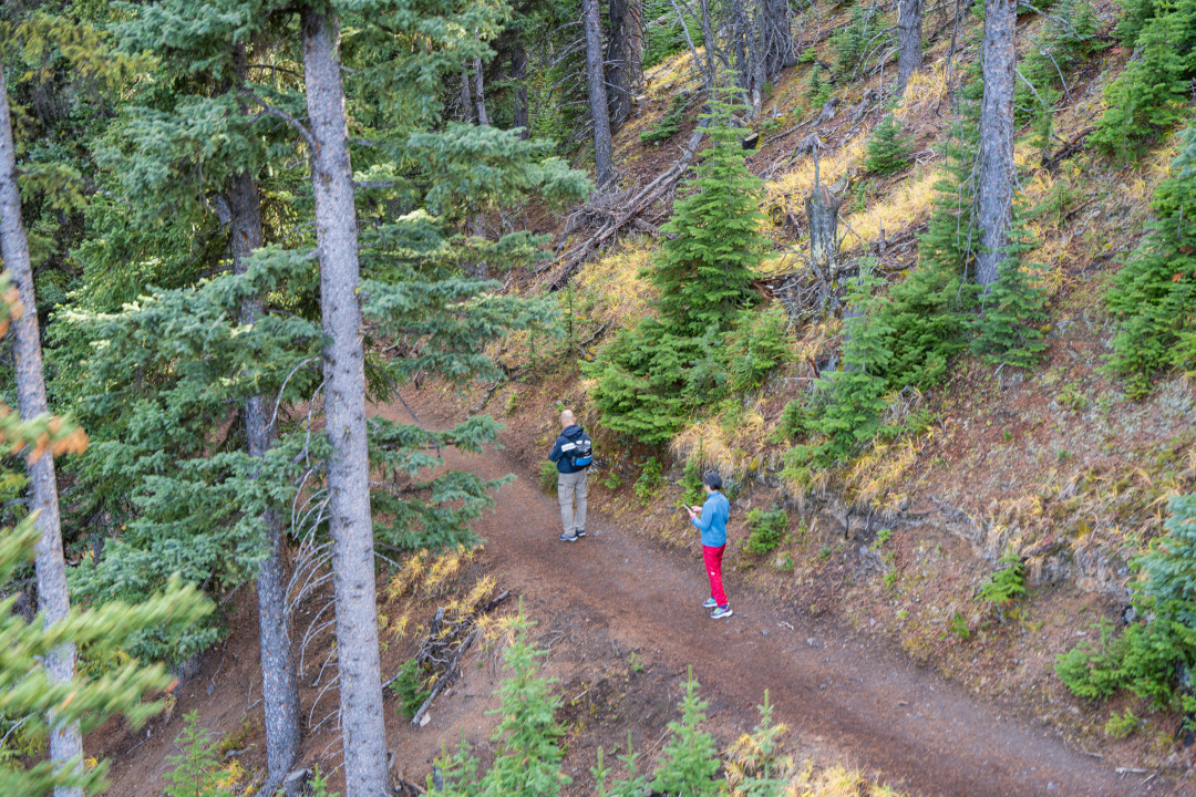 캐나다 밴프 곤돌라 탐방로