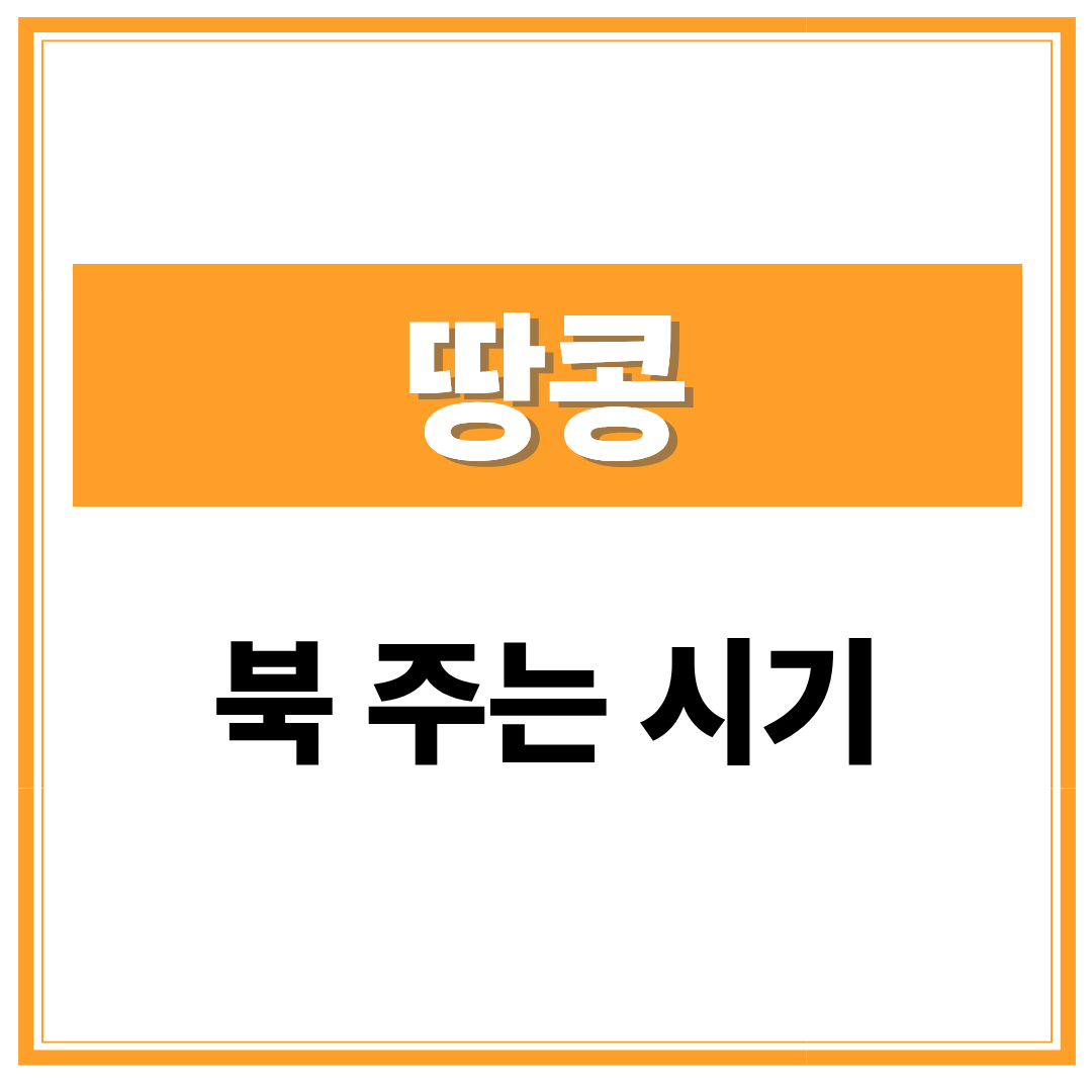 땅콩 북주는 시기
