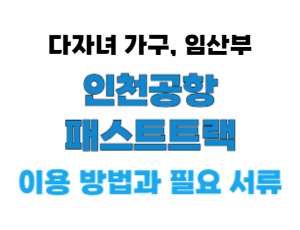 패스트 트랙이란? 다자녀 임산부 우선출국 이용 방법