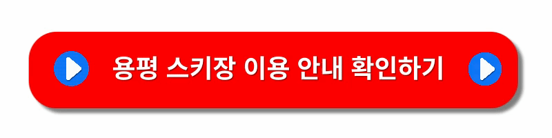 국내스키장-추천-BEST5