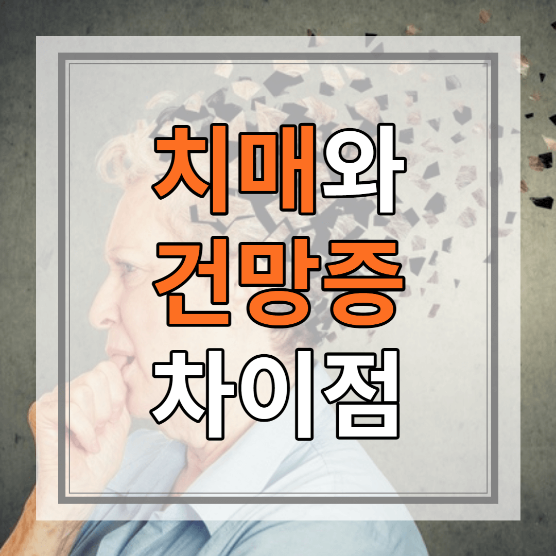 치매 건망증 차이