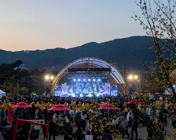 구례 산수유축제_18