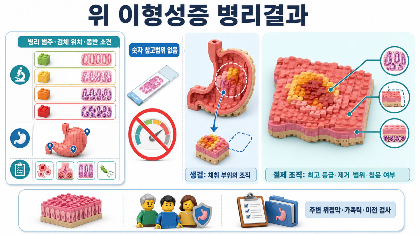위 이형성증 병리결과의 병리 범주&middot;검체 위치&middot;동반 소견과 생검&middot;절제 조직 평가 범위 비교