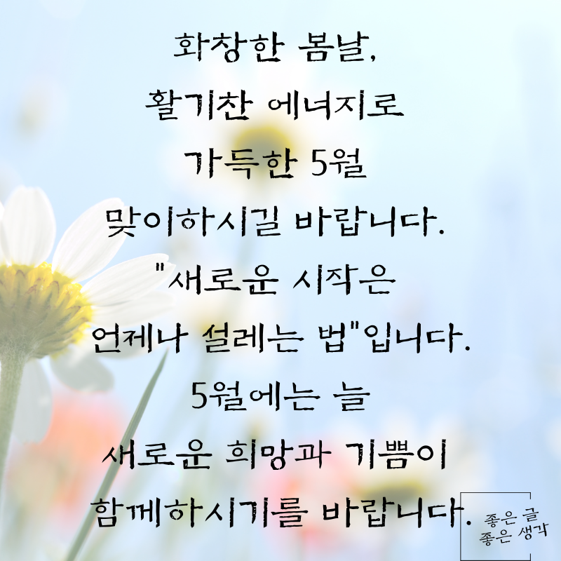 5월 인사말 문구 이미지 모음집 카톡 문자 메세지