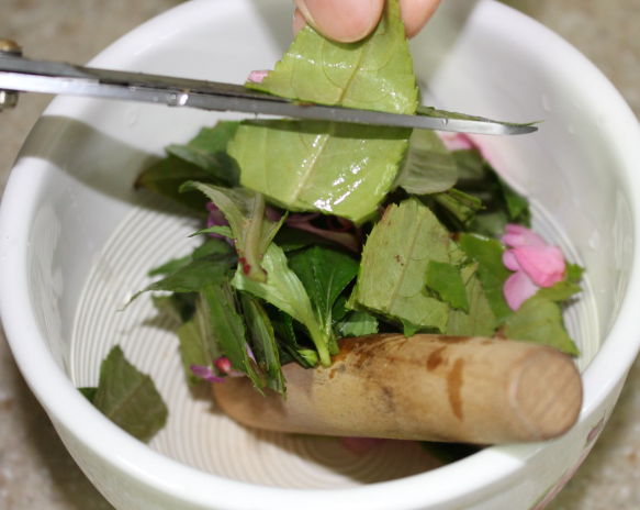 봉숭아물들이기 시기 시간 방법 유래 가루 지우기 임산부 아기 한눈에 2