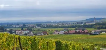 알자스 숨겨진 마을 독일 프랑스 퓨전 요리 맛집_11