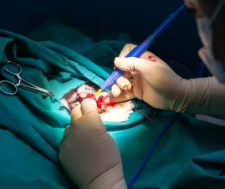 강아지 구강 종양 초기 증상부터 치료법 총정리