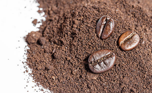 화장실 냄새 즉각적으로 잡는 방법