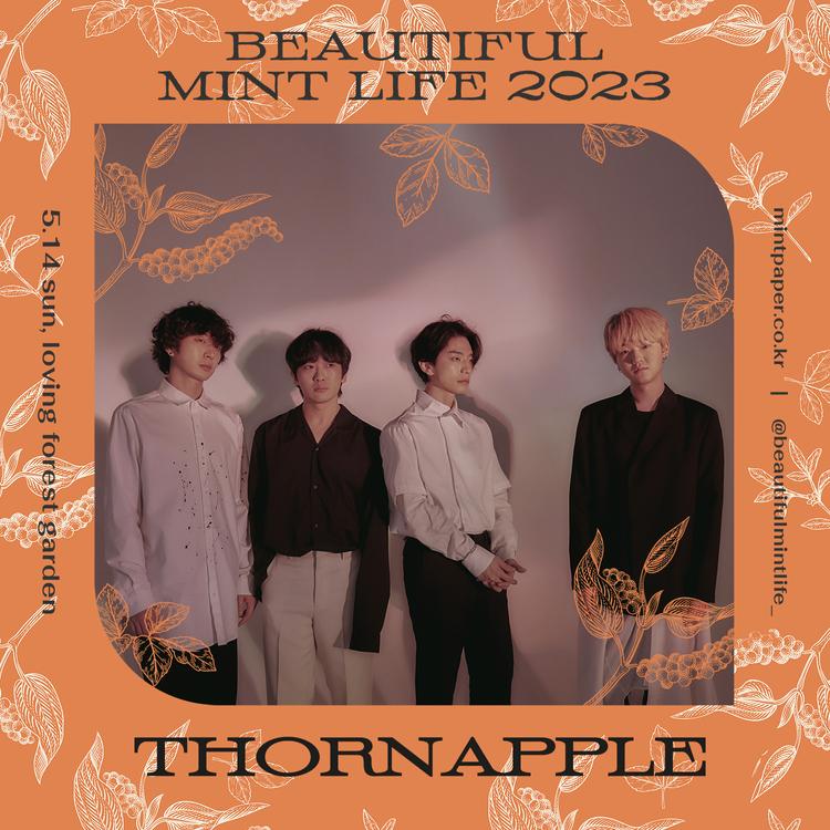 Beautiful Mint Life 2023