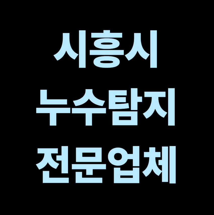 시흥시 누수탐지 전문업체