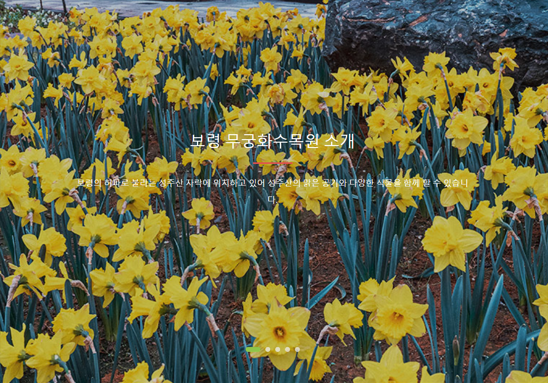 보령-무궁화-수목원