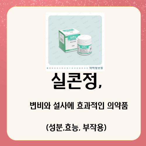 실콘정