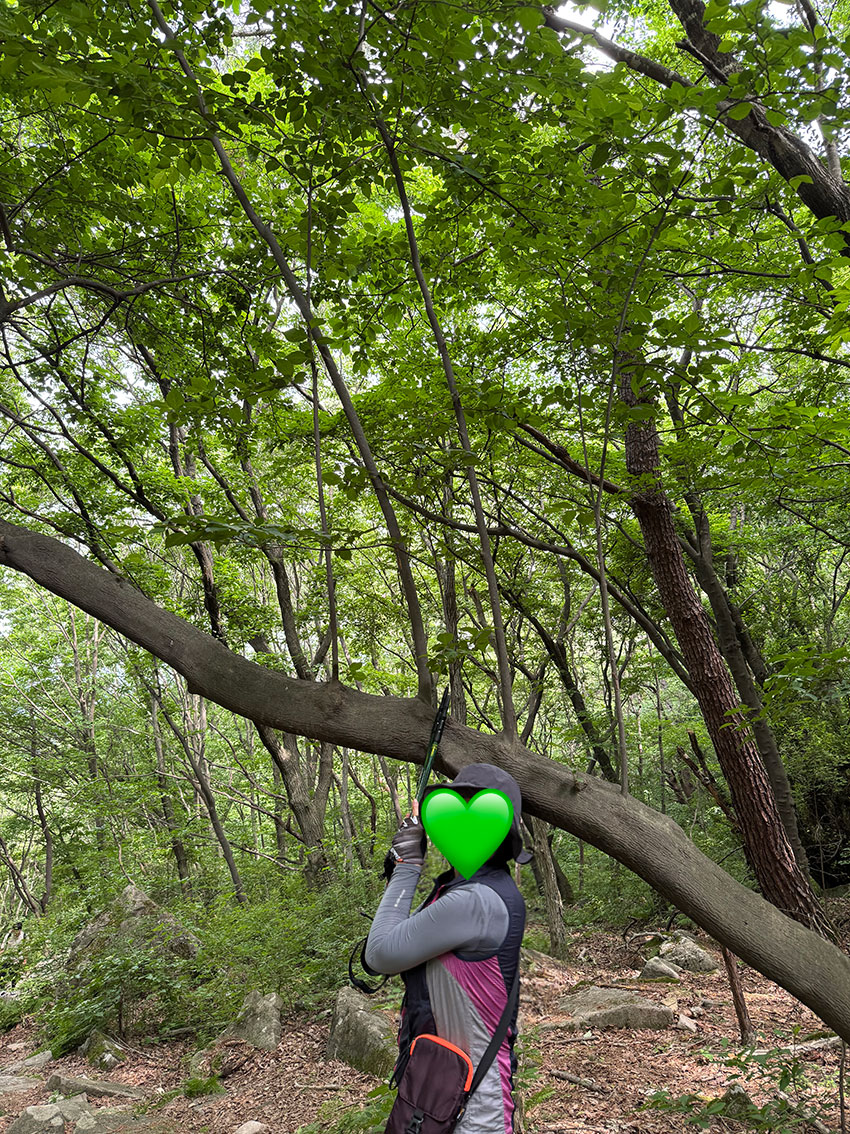 산림기능사 연봉과 자격요건, 시험준비