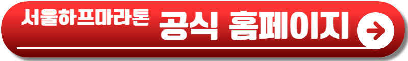 서울하프마라톤 2025