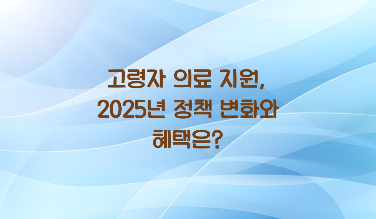 고령자 의료 지원