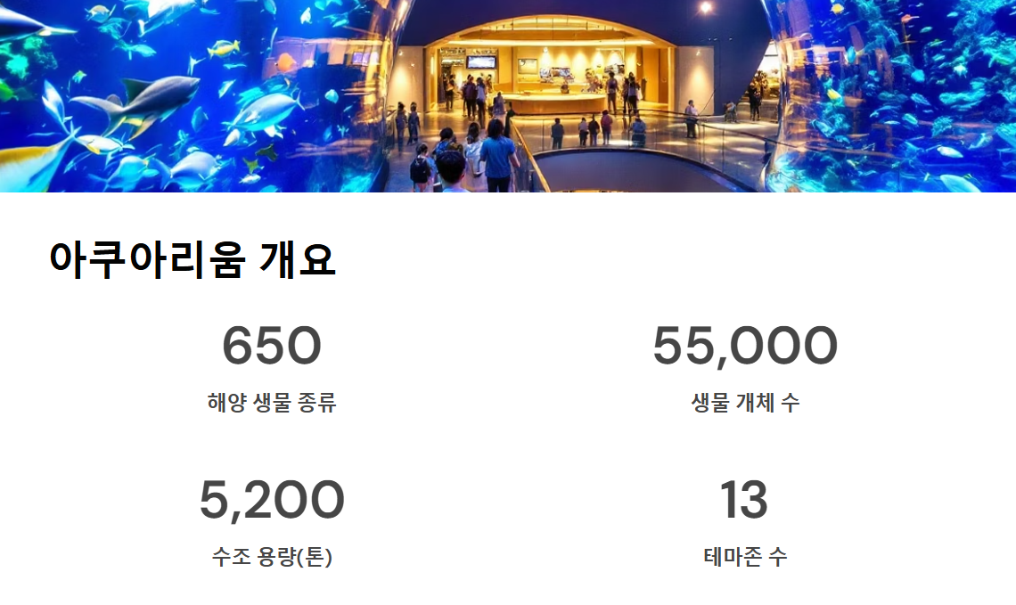 롯데월드 아쿠아리움 시간 및 가격 총정리