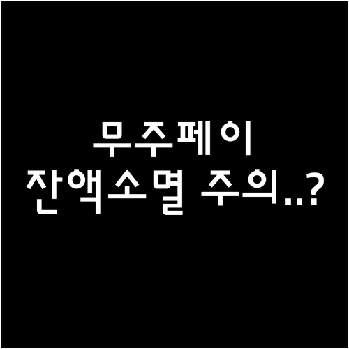 무주사랑상품권 유효기간 및 잔액 관리..