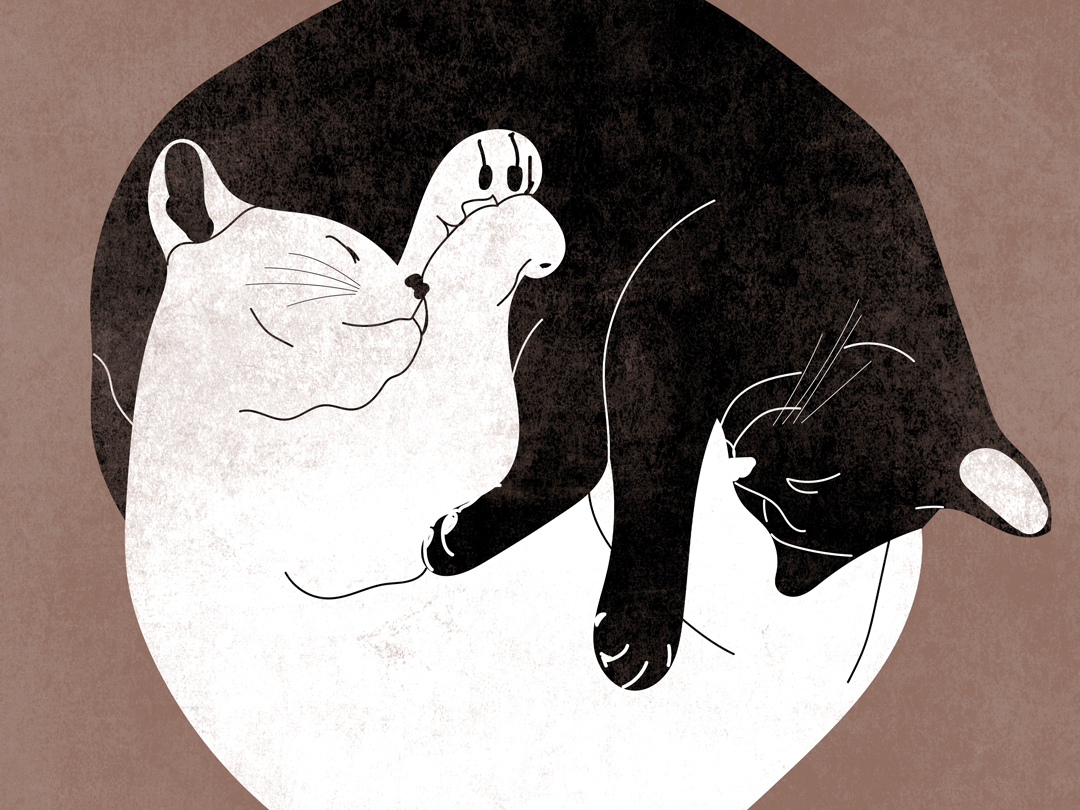 하얀 고양이와 검은 고양이 일러스트 무료 이미지 다운로드