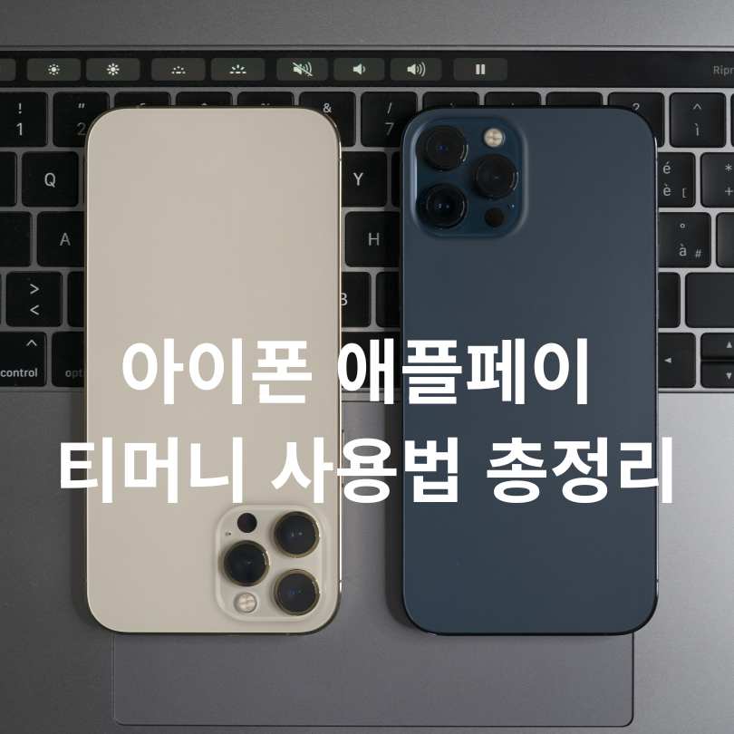 아이폰 애플페이 티머니 사용법 총정리