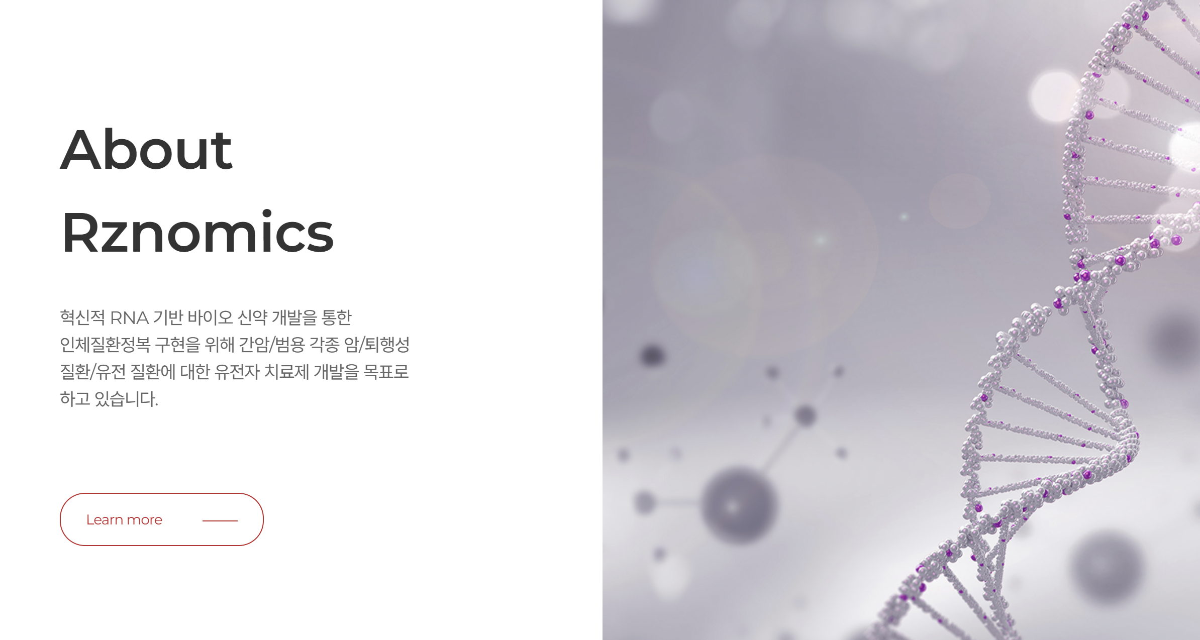 알지노믹스 공모주 상장일 청약 공모가 총정리