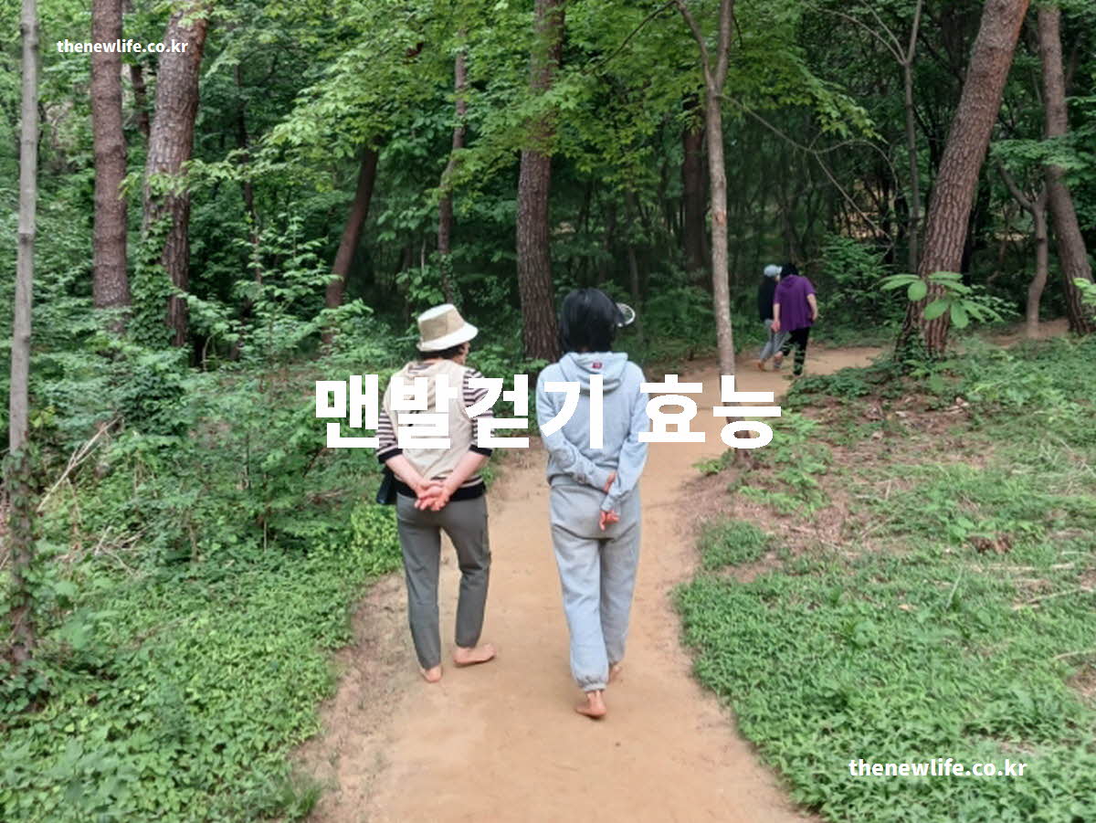 맨발걷기 효능 대표 실사진