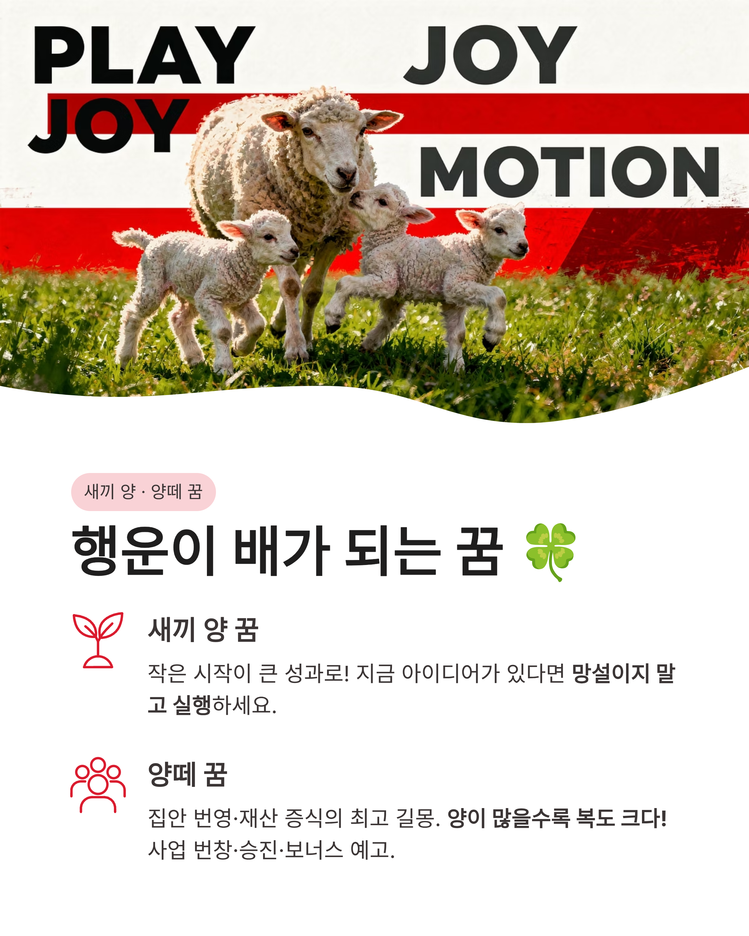 양꿈 해몽 흰 양 태몽부터 새끼 양떼까지 상황별 완벽 풀이! 재물운이 넝쿨째 굴러온다고?