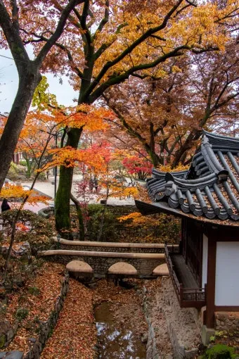 가을 단풍 여행지 베스트10 산책로 사진스팟 대중교통으로 여유롭게_10