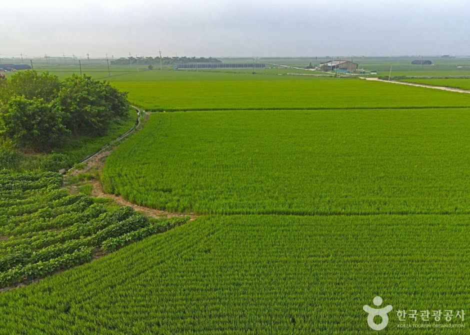 김제 가볼만한곳 베스트10