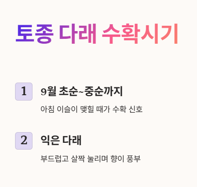 토종 다래 수확시기