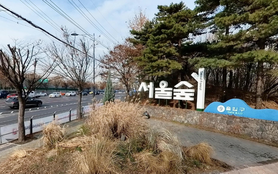 2024 전국에 가봐야 할 벚꽃명소 추천리스트