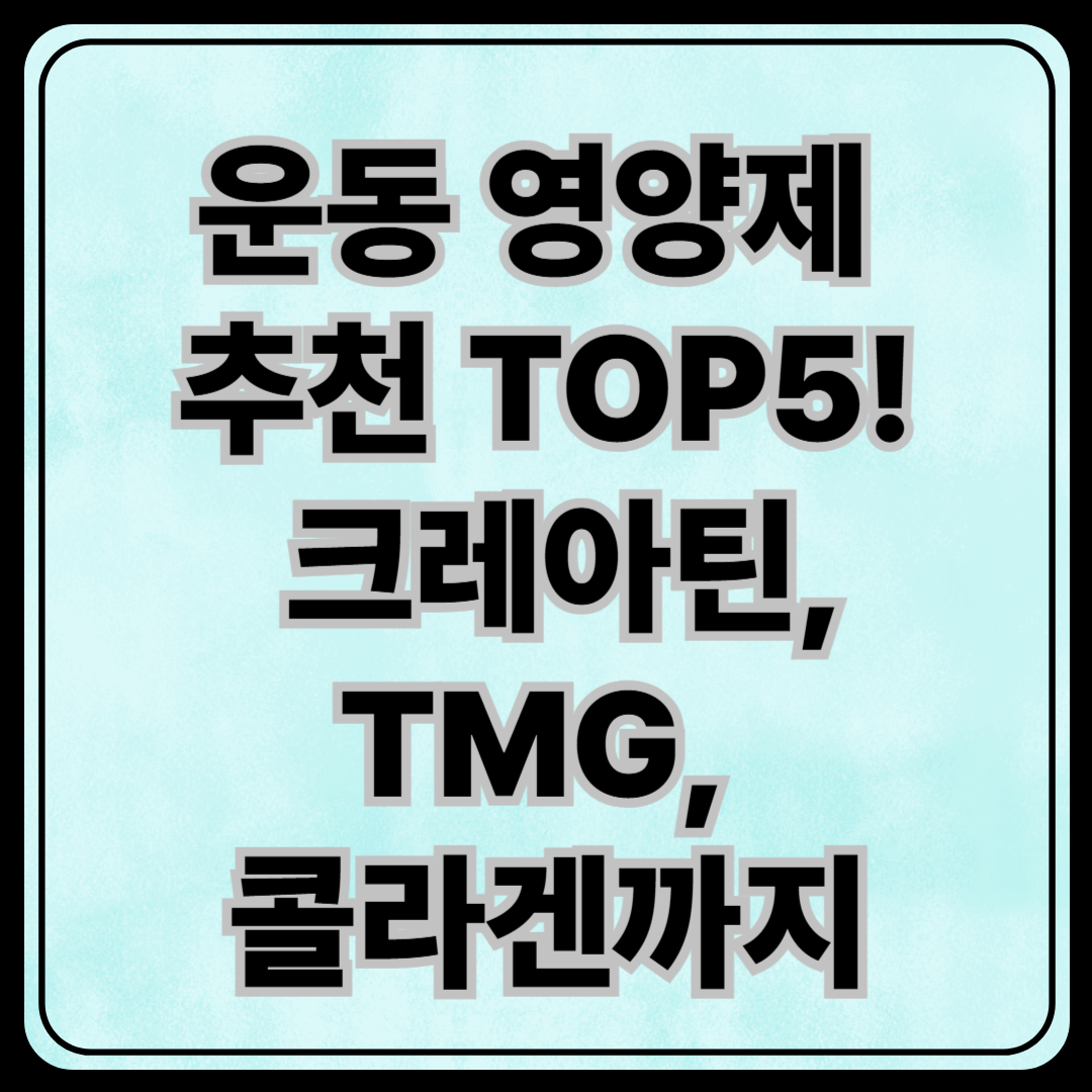 운동 영양제 추천 TOP5! 크레아틴, TMG, 콜라겐까지