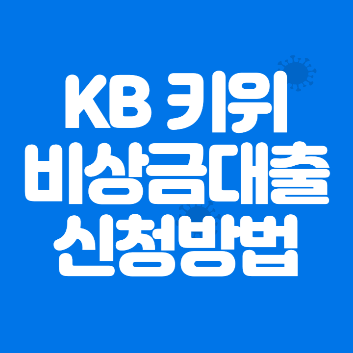 KB 키위 비상금대출