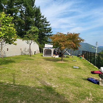 해피느스-잔디존