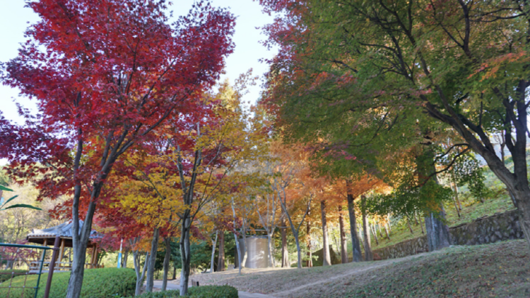 진해 드림파크