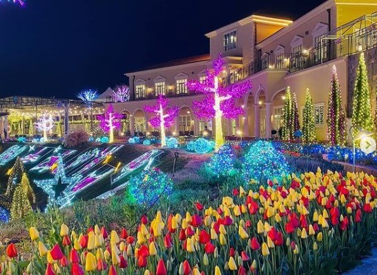 퍼스트가든 별빛이 흐르는 정원은 파주에 가 볼만한 곳으로 인기있는 곳입니다.