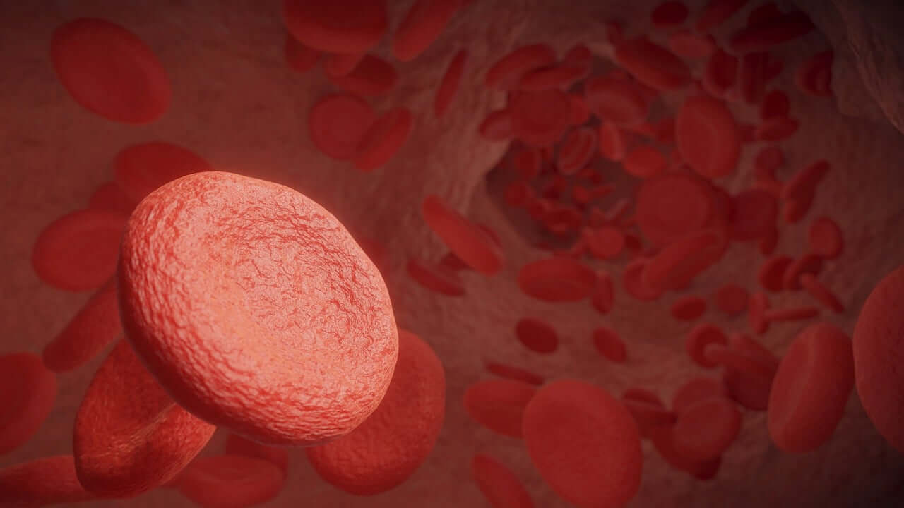 고지혈증에 좋은음식 7가지와 그 이유