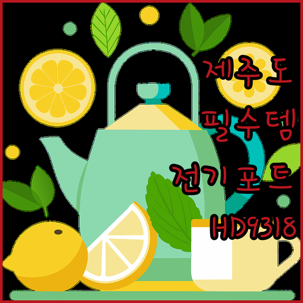 제주도 여행 필수템 필립스 3000 ..
