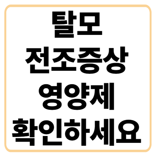 탈모전조증상 영양제