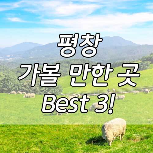 평창 가볼만한곳 Best3! 국내여행, 가을여행지 추천