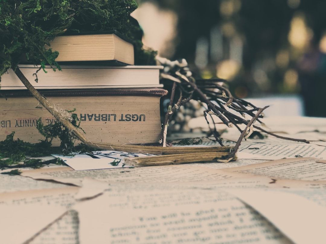 Reader