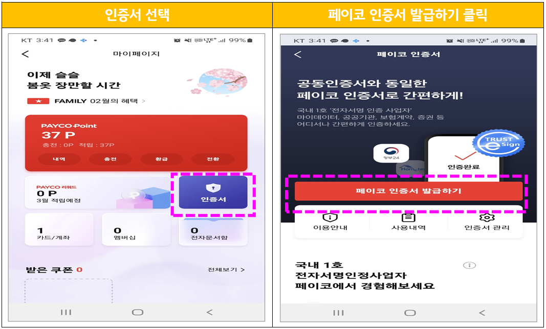 페이코 인증서 선택