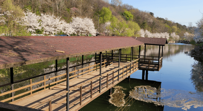 경기-포천-레이크문캠핑장-사진-입니다.