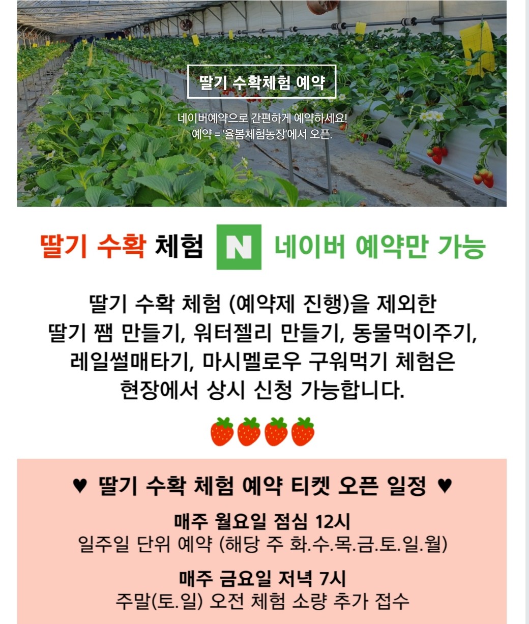 율봄식물원 딸기수확체험 네이버 예약