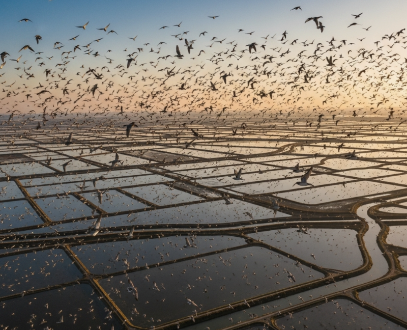 철새들의 낙원이자 풍요로운 어장