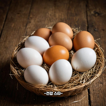 비타민b2 많은 음식