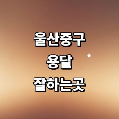 울산 중구 용달