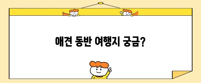 강원도 평창의 더화이트 호텔, 휘닉스파크 인근에서 애견과 함께할 수 있는 숙소를 추천합니다!
